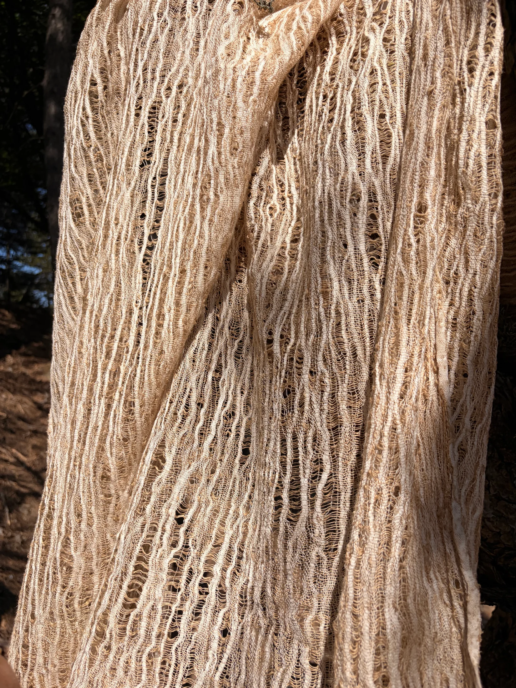 Arakne camel